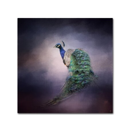 Trademark Fine Art Jai Johnson 'Peacock 11' Canvas Art, 35x35 ALI13910-C3535GG